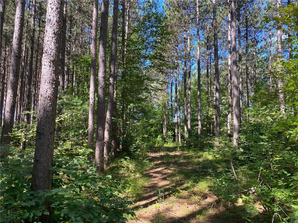 Lot 3 Jenny Lane Hayward WI 54843 1545172 image1