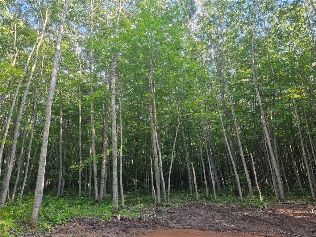 Lot 3 Ken Can Lane Webster WI 54893 1595028 image5