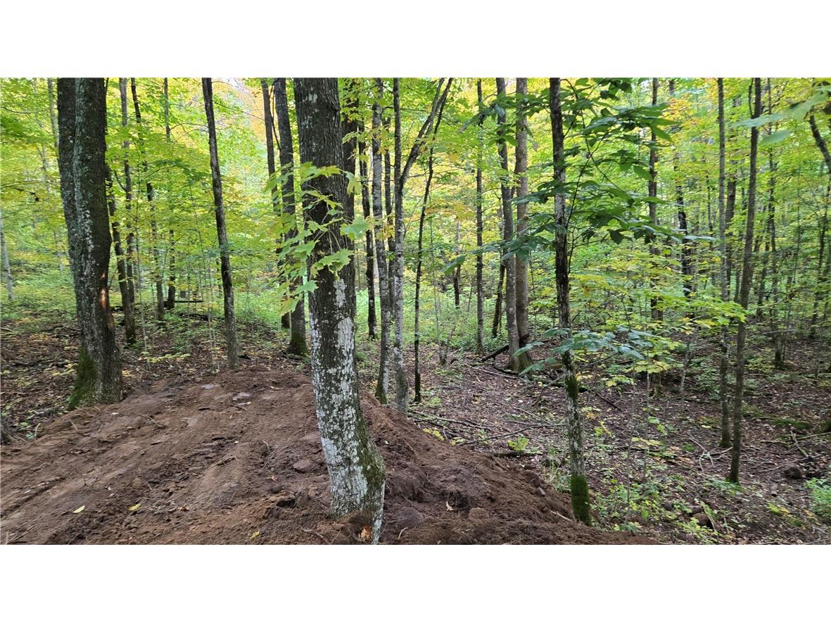 Lot 3 Lakeview Ln. Exeland WI 54835 - Deer Lake 1596346 image17