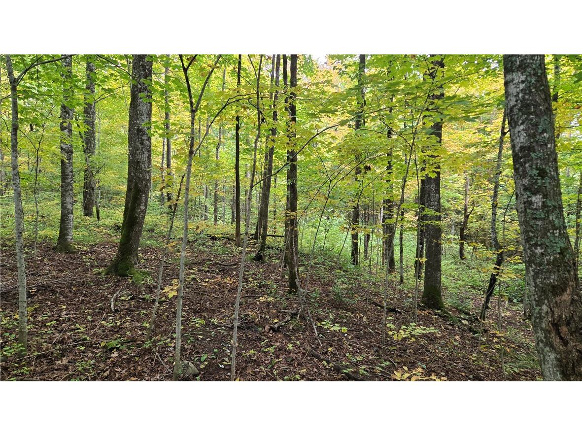 Lot 3 Lakeview Ln. Exeland WI 54835 - Deer Lake 1596346 image19