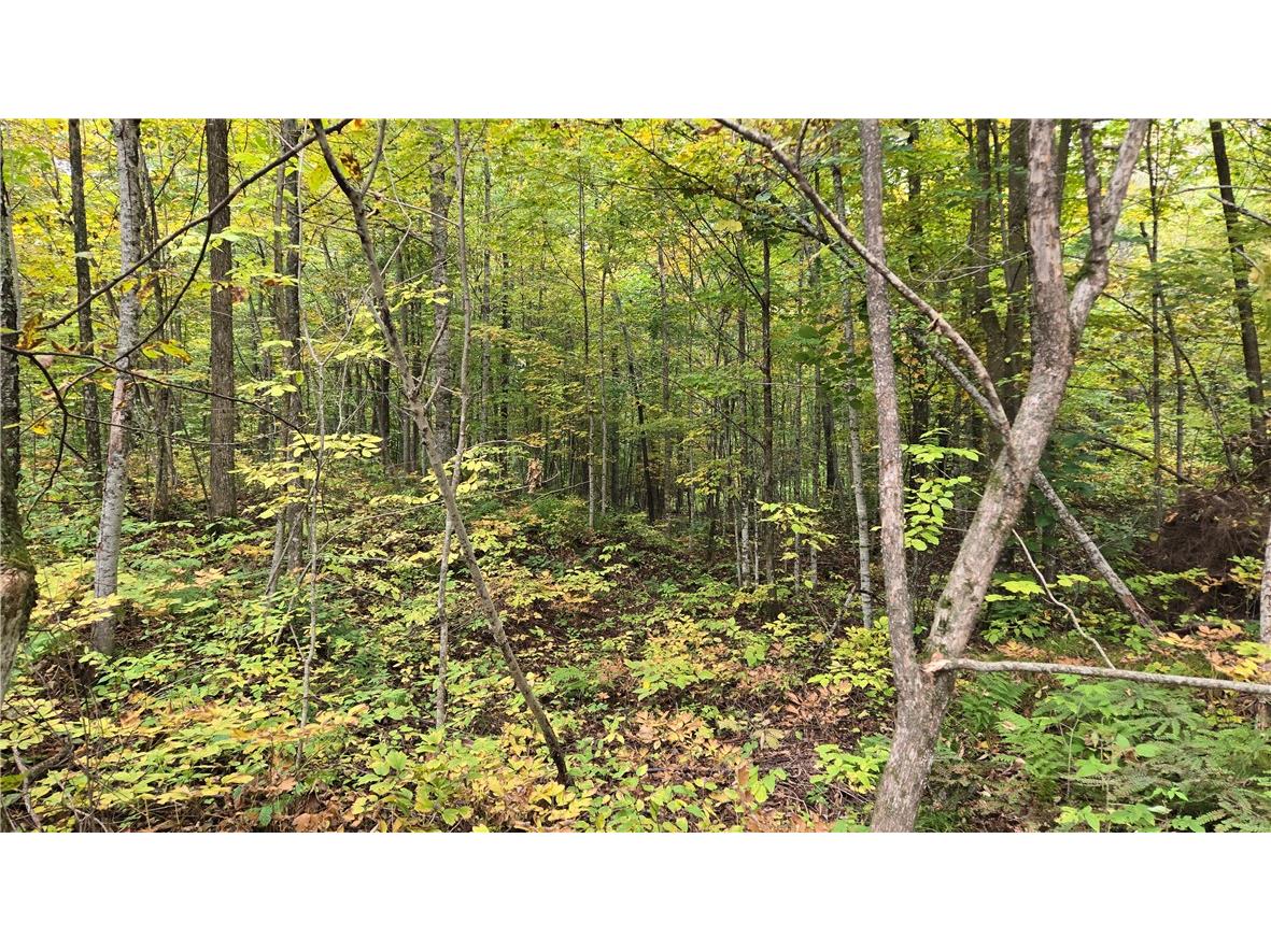 Lot 3 Lakeview Ln. Exeland WI 54835 - Deer Lake 1596346 image21