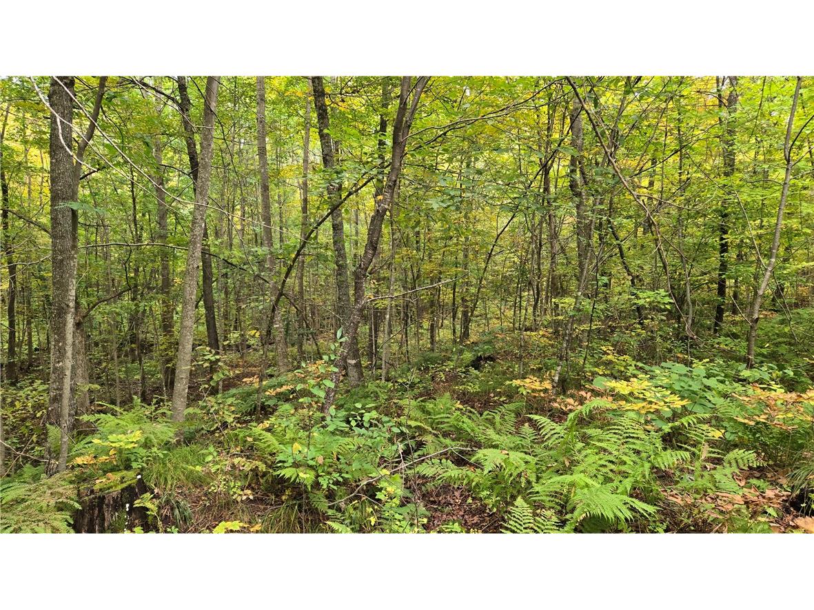 Lot 3 Lakeview Ln. Exeland WI 54835 - Deer Lake 1596346 image25