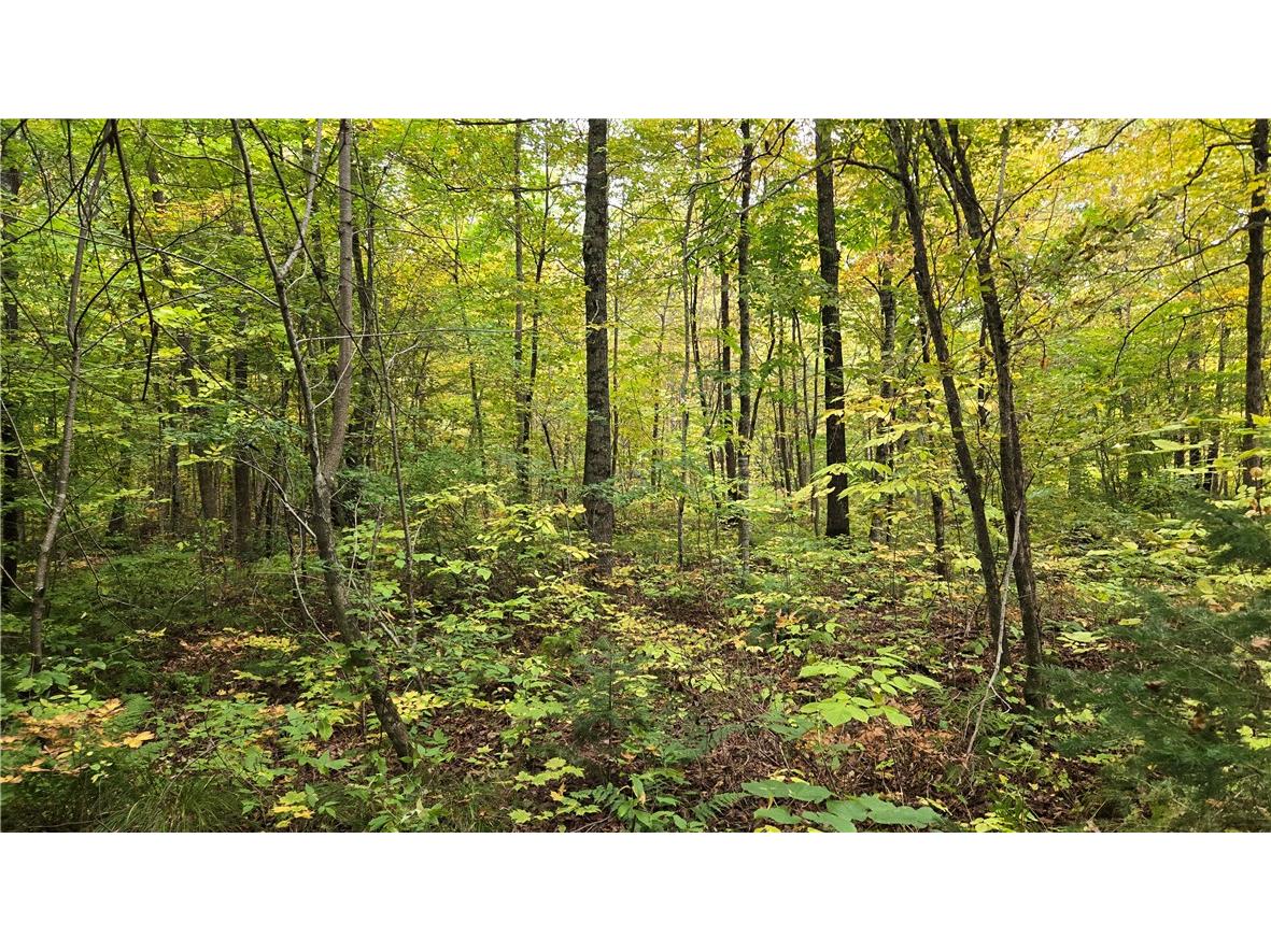 Lot 3 Lakeview Ln. Exeland WI 54835 - Deer Lake 1596346 image27