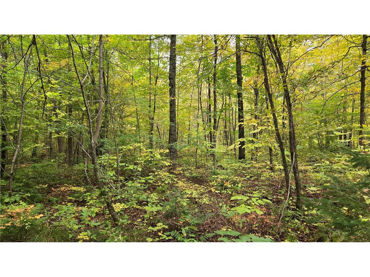 Lot 3 Lakeview Ln. Exeland WI 54835 - Deer Lake 1596346 image28