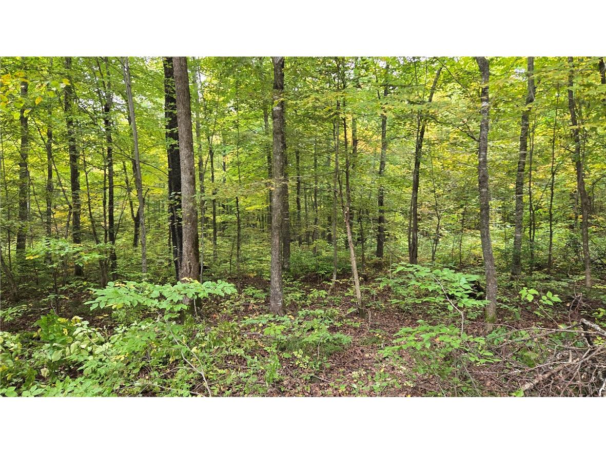 Lot 3 Lakeview Ln. Exeland WI 54835 - Deer Lake 1596346 image6