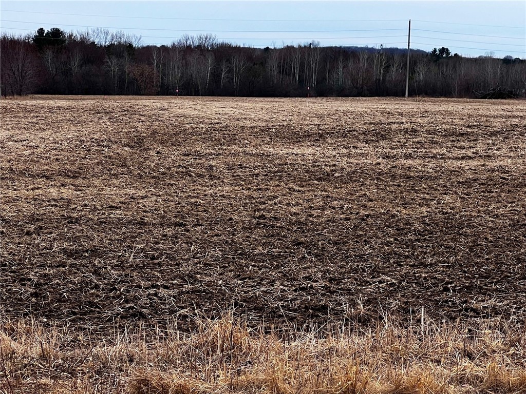 Lot 3 Main Street Cadott WI 54727 1589806 image10