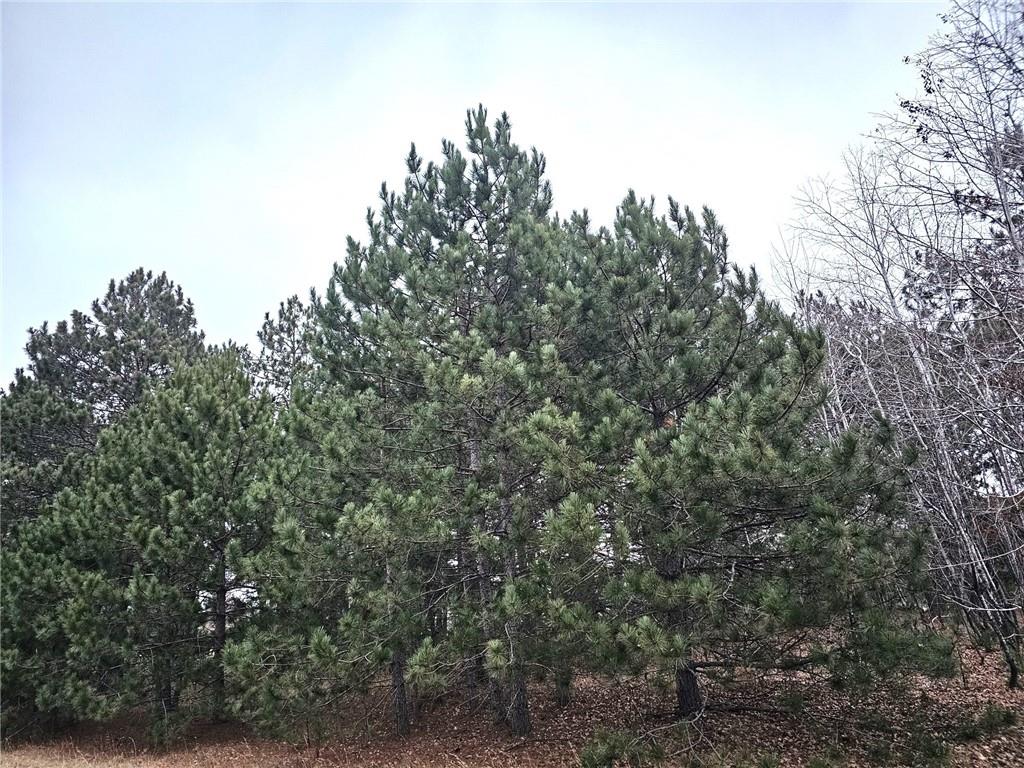 Lot 3 Meadow Green Trail Way Danbury WI 54830 1578588 image1