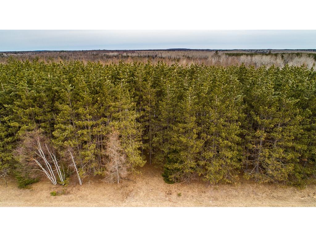 Lot 3 Moose Lake Road Hayward WI 54843 - Hay 1573187 image1