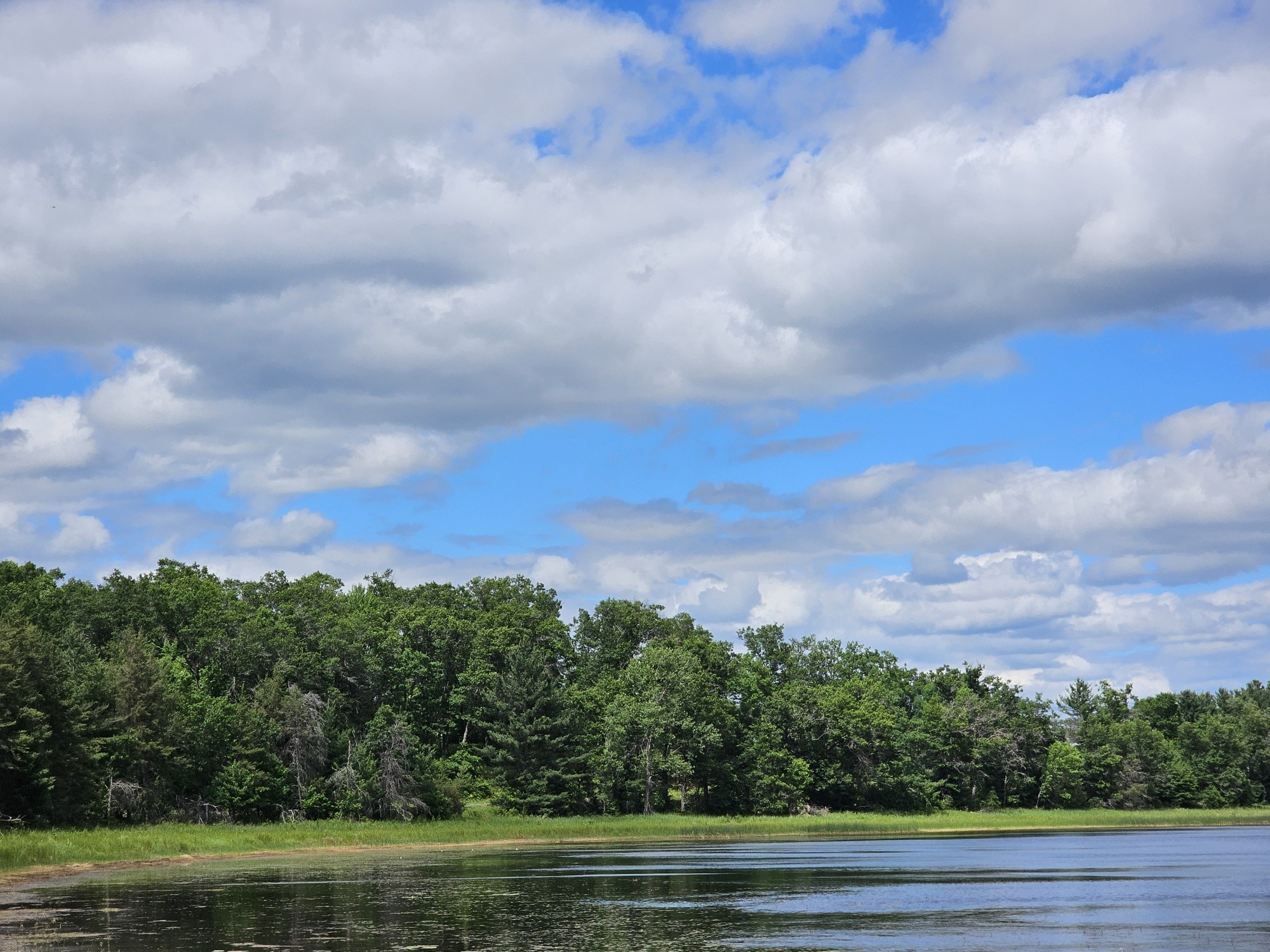Lot 3 N Bass Lake Road Webster WI 54893 - Bass Lake 1602264 image3