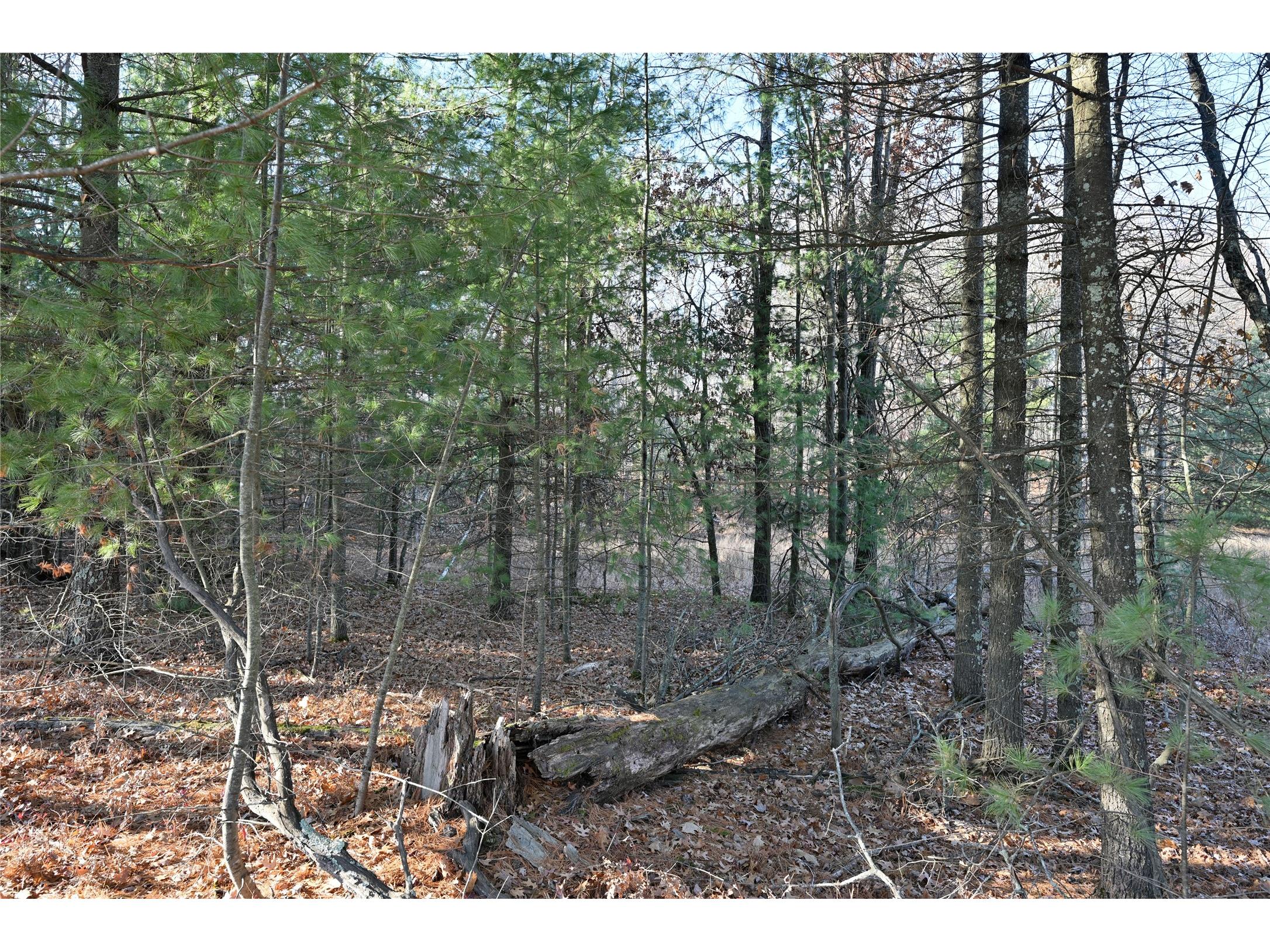 Lot 3 N Bass Lake Road Webster WI 54893 - Bass Lake 1602264 image6