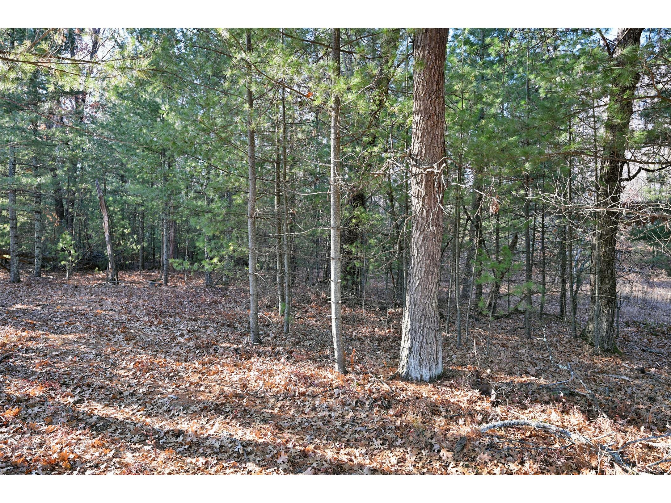 Lot 3 N Bass Lake Road Webster WI 54893 - Bass Lake 1602264 image7