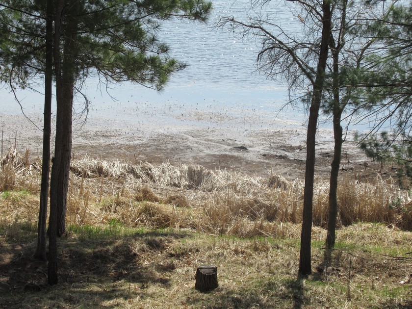 Lot 3 N Rice Lake Road Spooner WI 54801 - Rice 1600163 image12