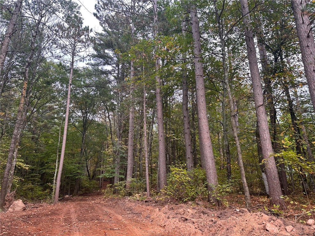 Lot 3 N Sabin Road Hayward WI 54843 1595790 image2