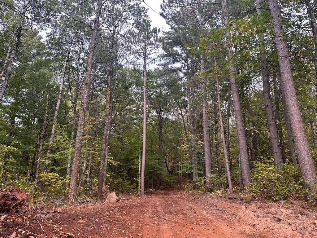 Lot 3 N Sabin Road Hayward WI 54843 1595790 image3