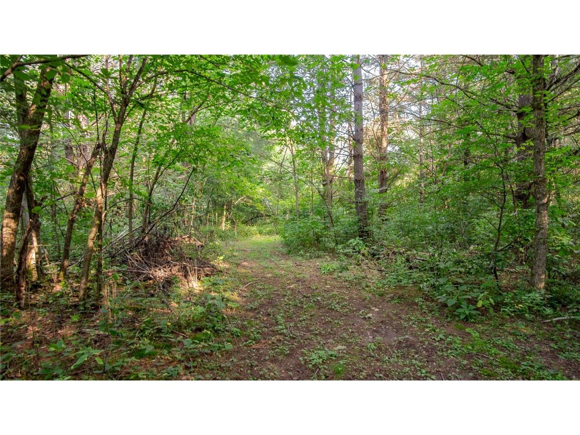 Lot 3 Ojibwa Lookout 190th Street Chippewa Falls WI 54729 - Wissota 1586366 image5