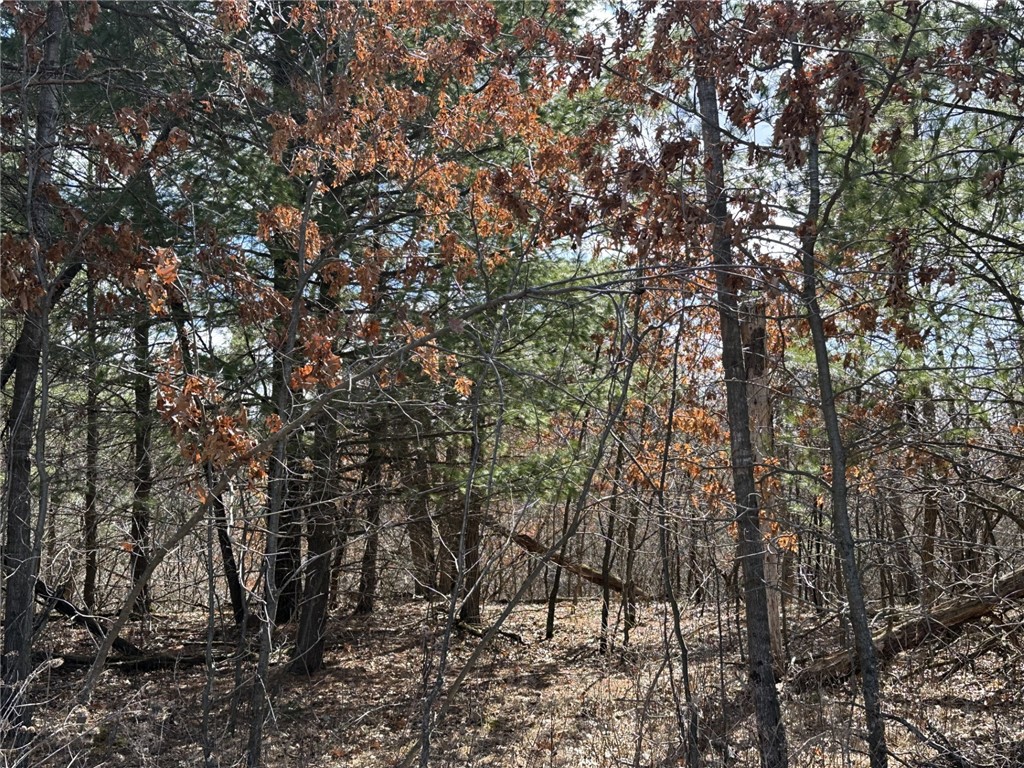 Lot 3 Olson Drive Fall Creek WI 54742 1589882 image1