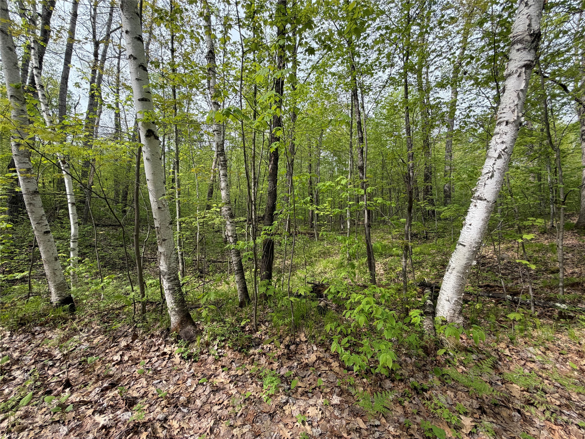 Lot 3 Peterson Road Wascott WI 54859 1601139 image1
