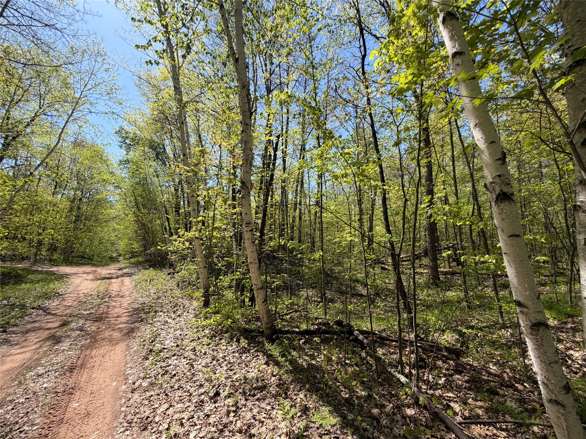 Lot 3 Peterson Road Wascott WI 54859 1601139 image3