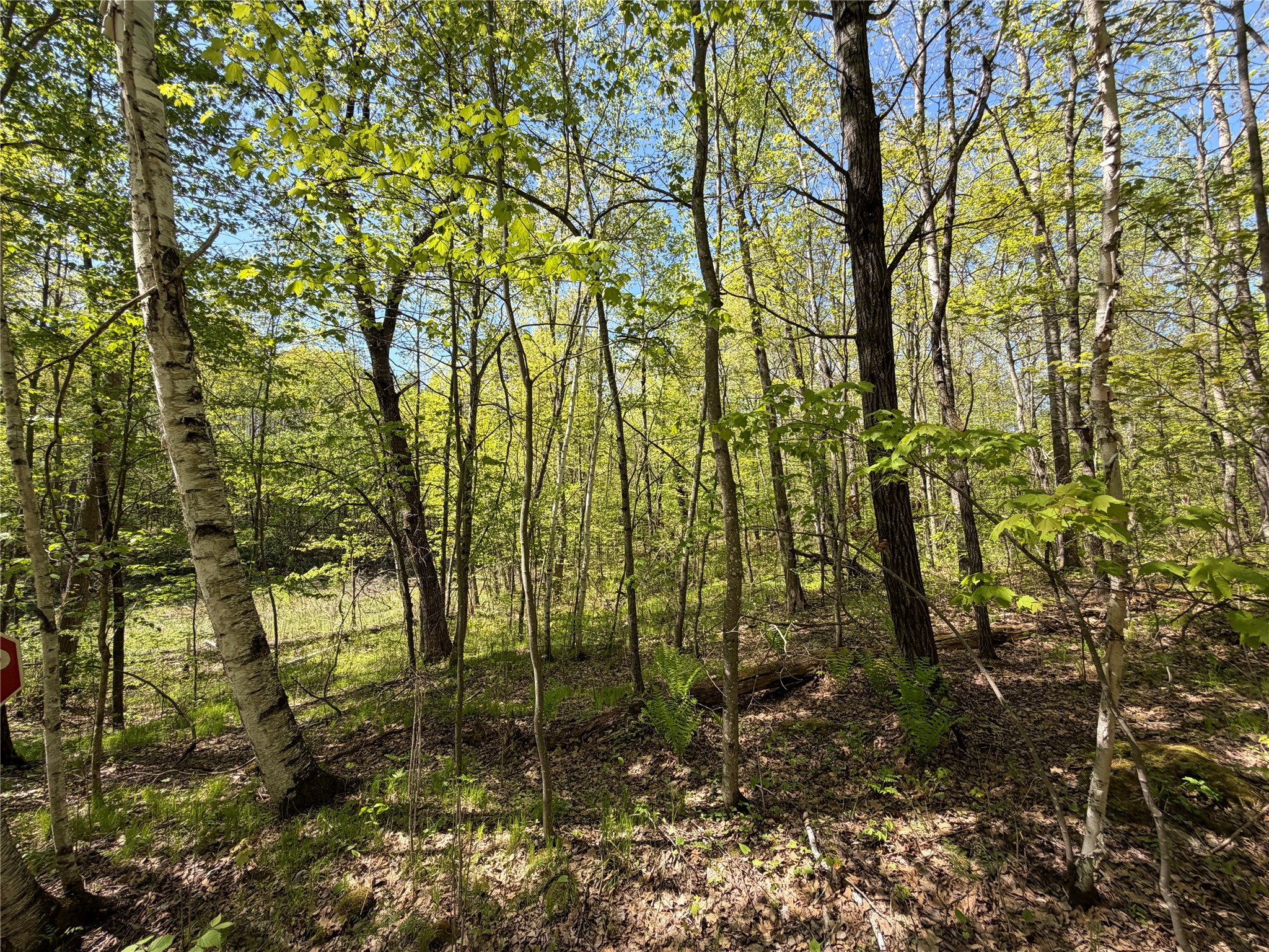 Lot 3 Peterson Road Wascott WI 54859 1601139 image5
