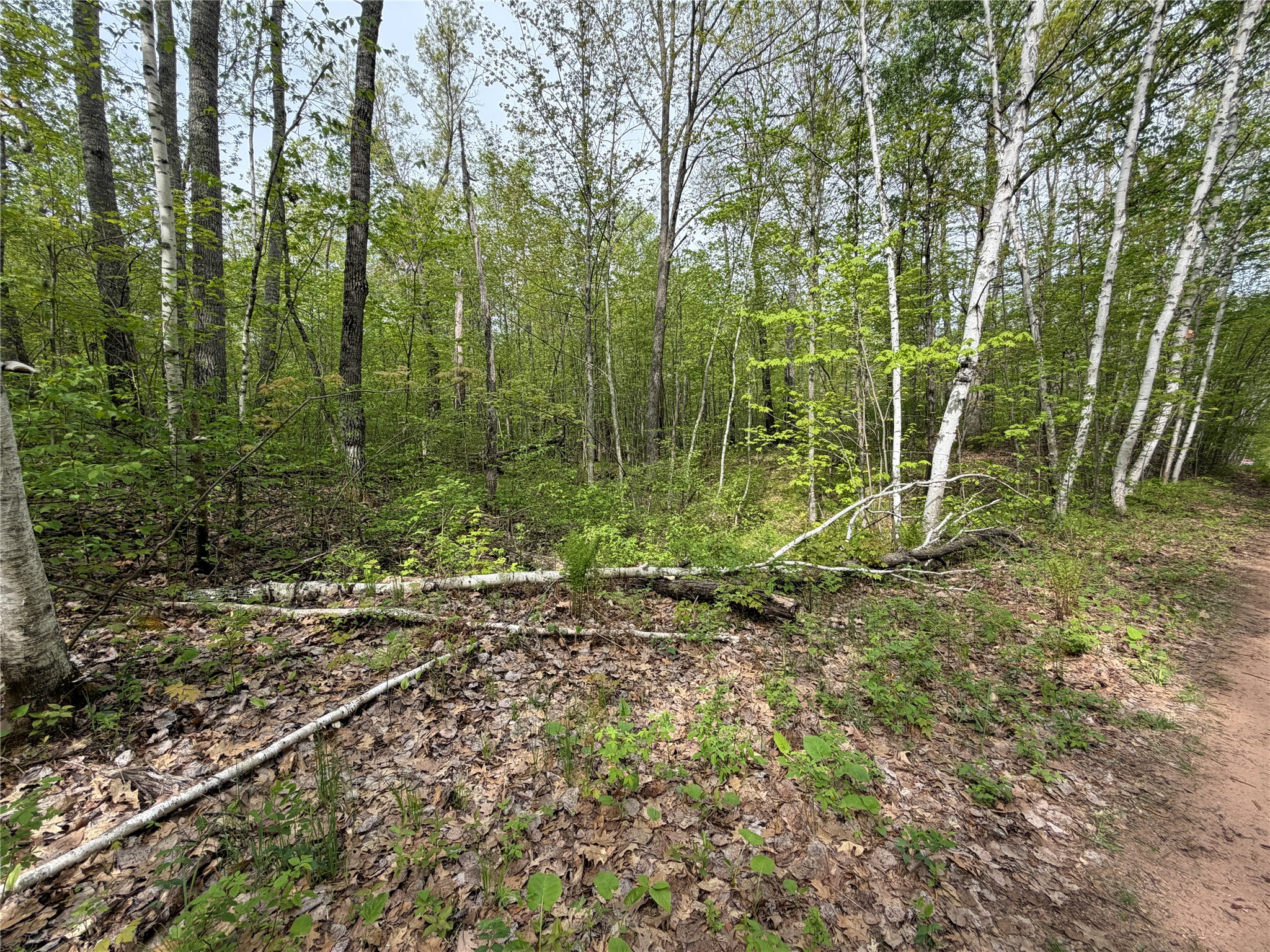 Lot 3 Peterson Road Wascott WI 54859 1601139 image6