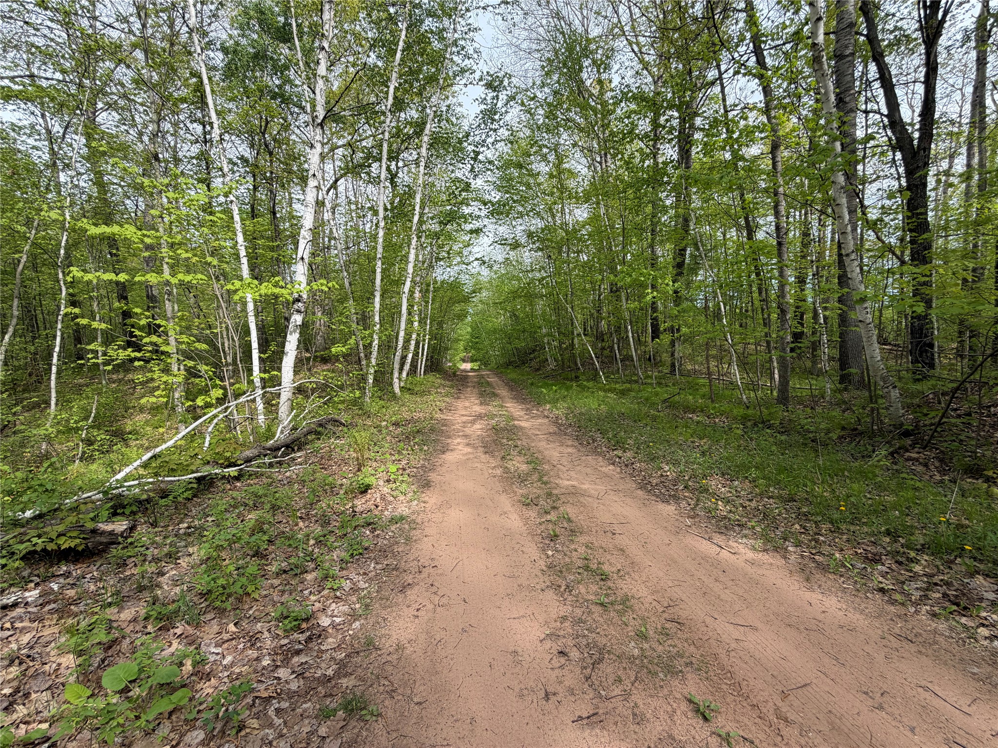 Lot 3 Peterson Road Wascott WI 54859 1601139 image7
