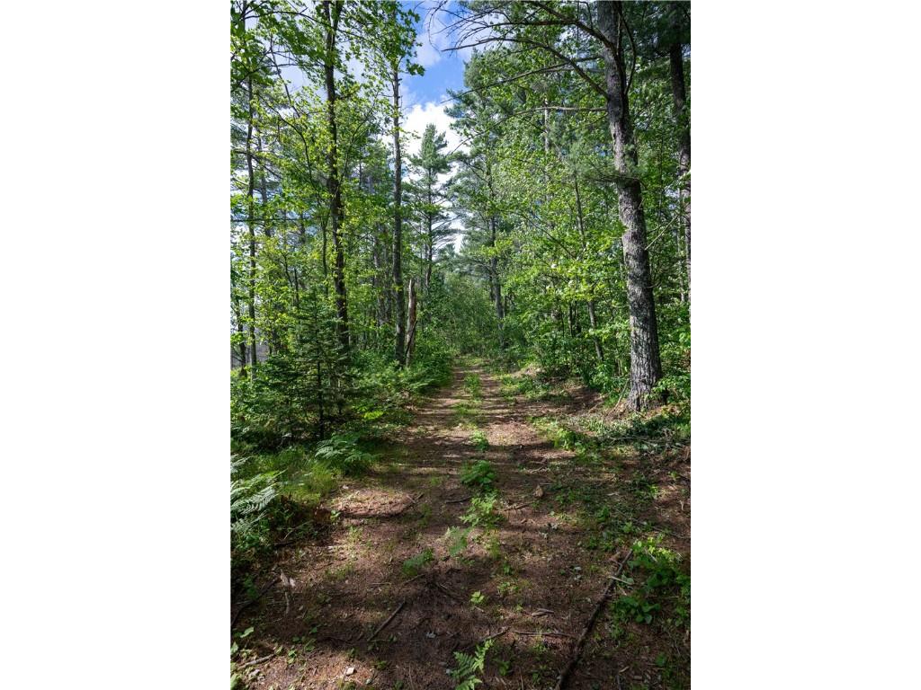 Lot 3 Preserve Road Hayward WI 54843 1596999 image19