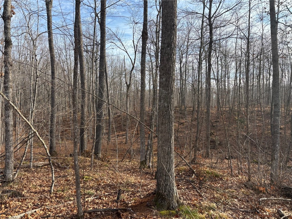 Lot 3 Preserve Road Hayward WI 54843 1596999 image21