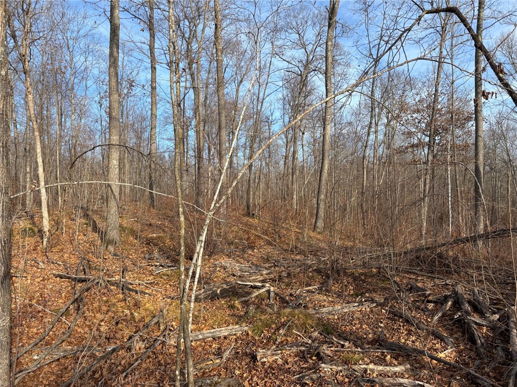Lot 3 Preserve Road Hayward WI 54843 1596999 image22