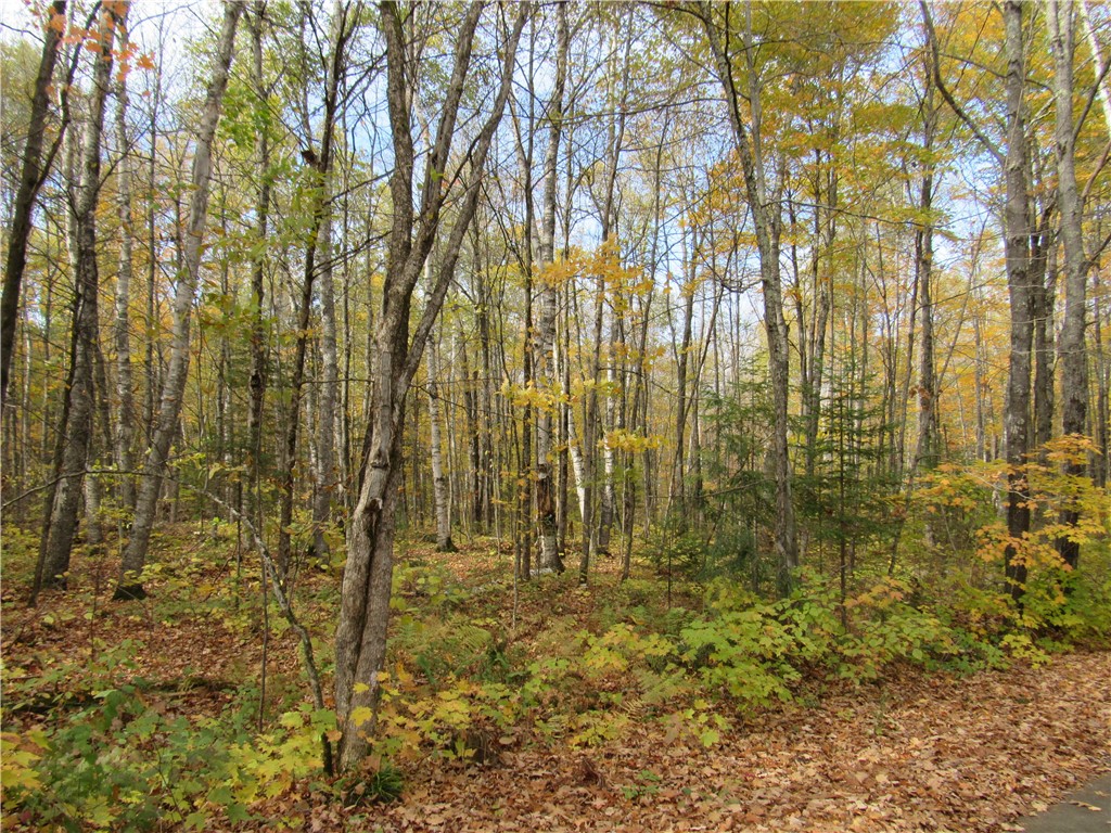 Lot 3 Scheers Road Hayward WI 54843 1579977 image1