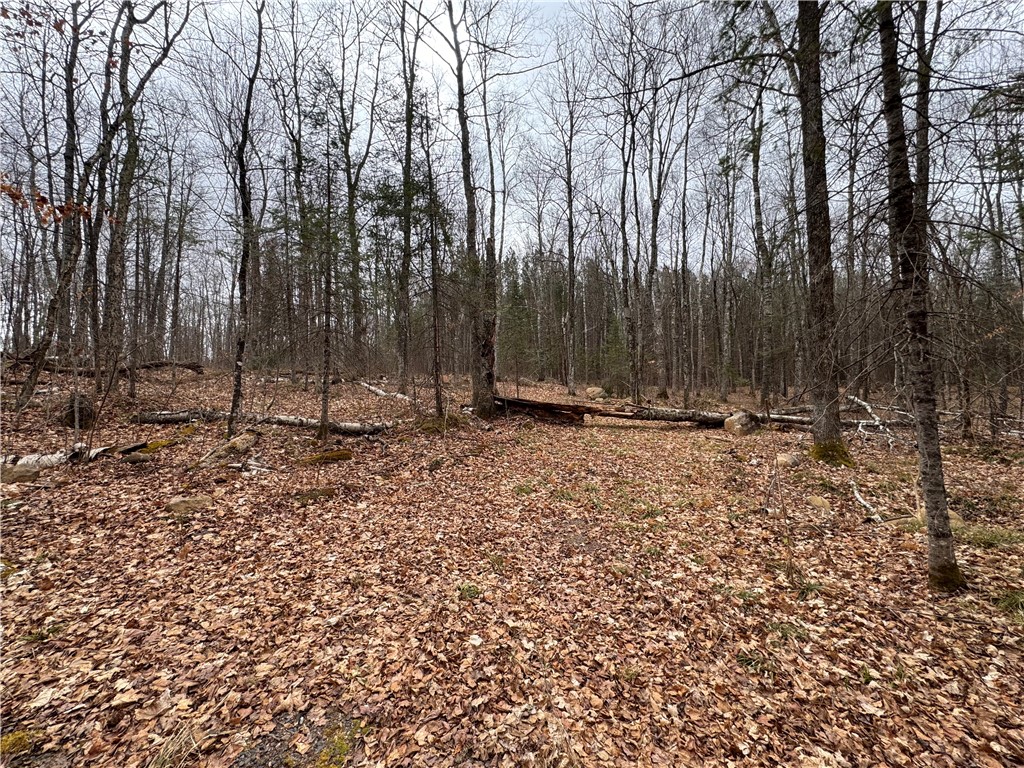 Lot 3 Scheers Road Hayward WI 54843 1579977 image11