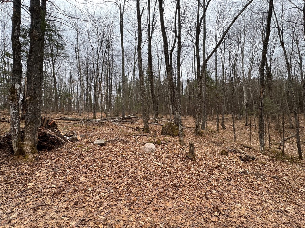 Lot 3 Scheers Road Hayward WI 54843 1579977 image12