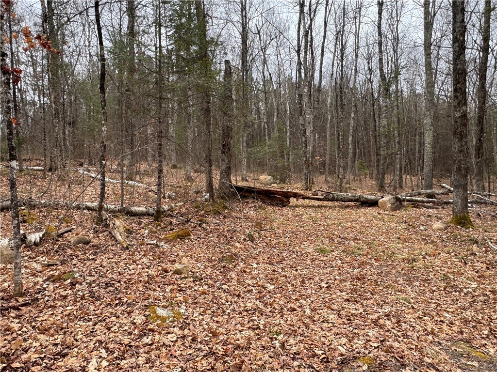 Lot 3 Scheers Road Hayward WI 54843 1579977 image13