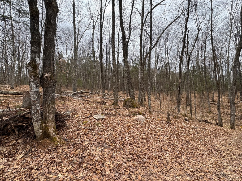 Lot 3 Scheers Road Hayward WI 54843 1579977 image14