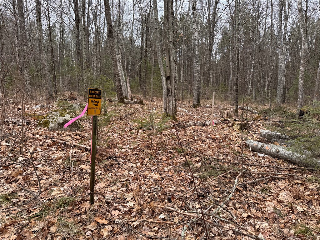 Lot 3 Scheers Road Hayward WI 54843 1579977 image2