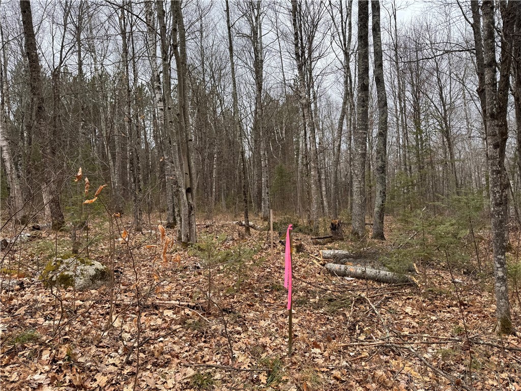 Lot 3 Scheers Road Hayward WI 54843 1579977 image3