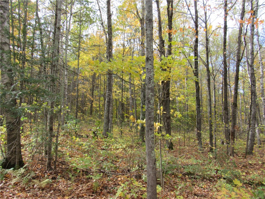 Lot 3 Scheers Road Hayward WI 54843 1579977 image4