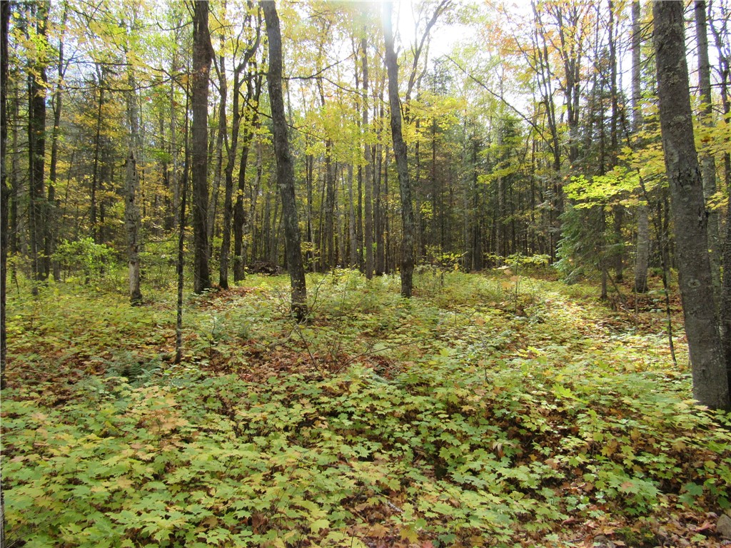 Lot 3 Scheers Road Hayward WI 54843 1579977 image6