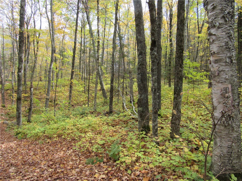 Lot 3 Scheers Road Hayward WI 54843 1579977 image7