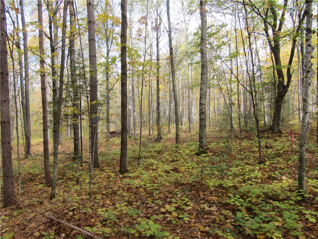 Lot 3 Scheers Road Hayward WI 54843 1579977 image8