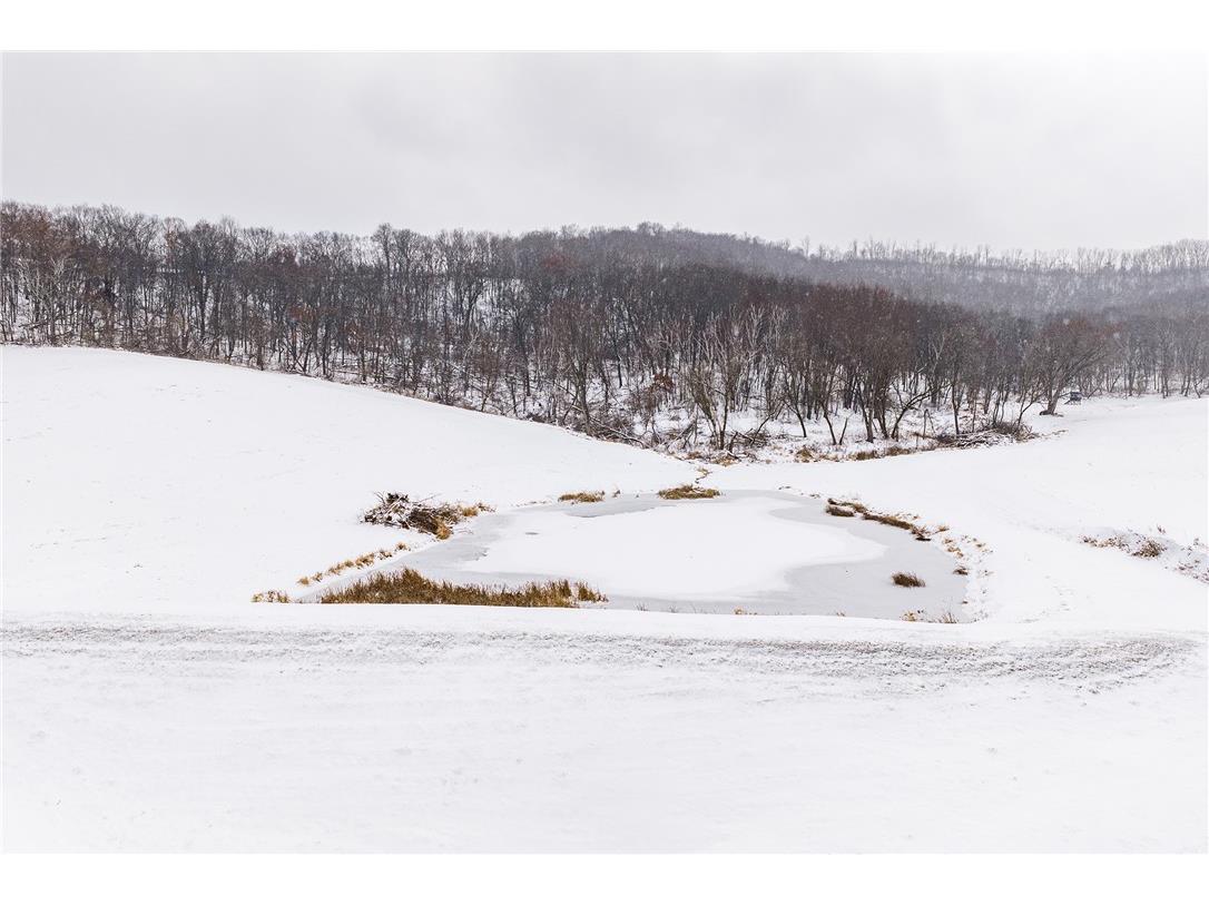 Lot 3 State Rd 95 Arcadia WI 54612 1597288 image14