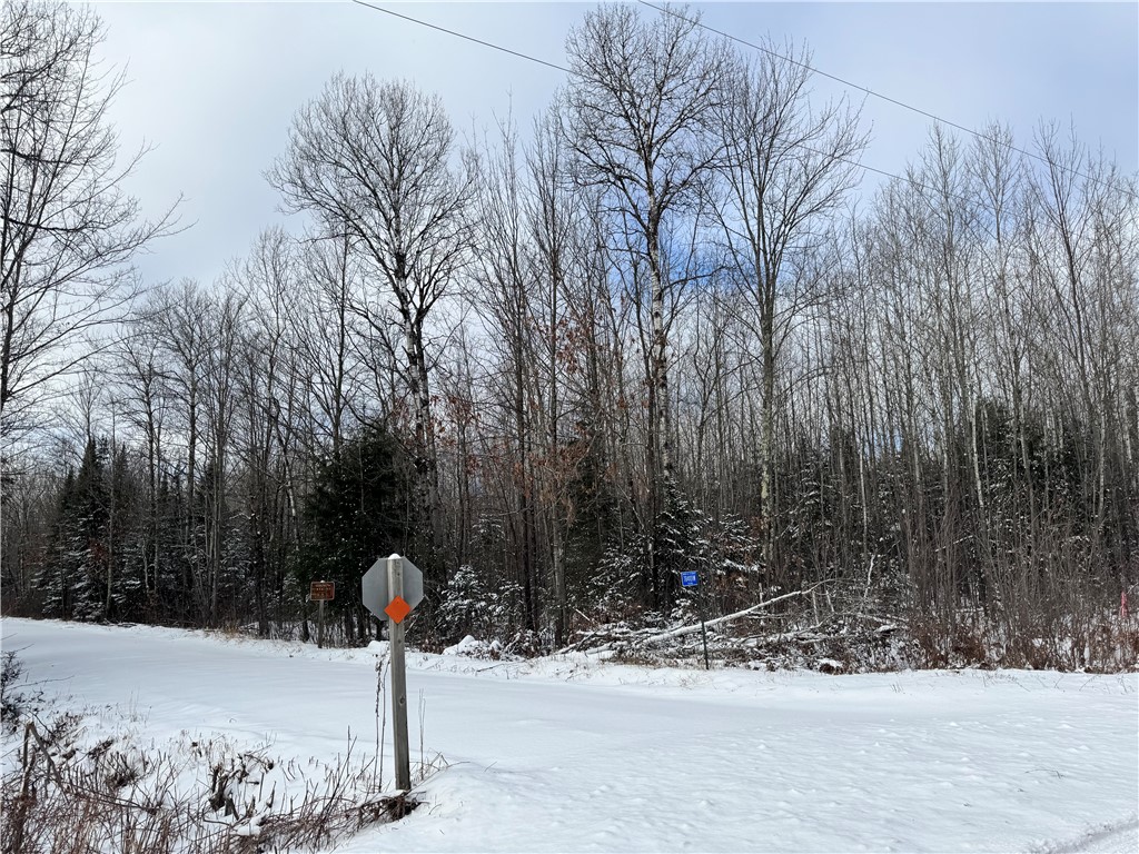 Lot 3 Uncle Toms Road Loretta WI 54896 1587624 image1