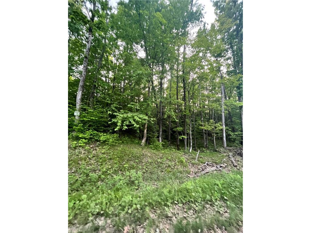 Lot 3 Universal Drive Winter WI 54896 1573964 image1