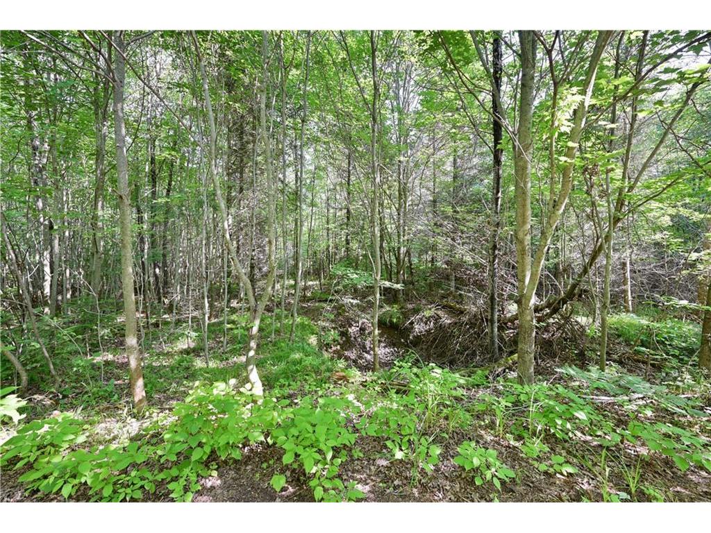 Lot 3 Warner Drive Hayward WI 54843 1584271 image1