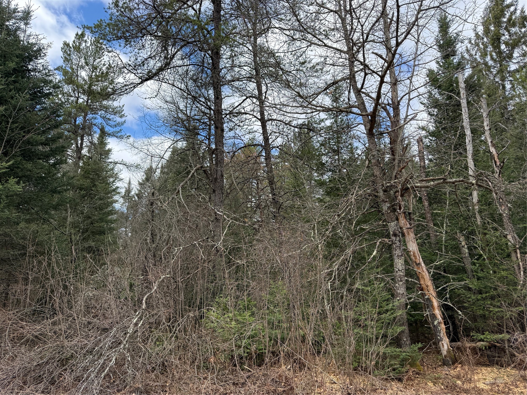 Lot 30 Maple Court Cable WI 54821 1600287 image1