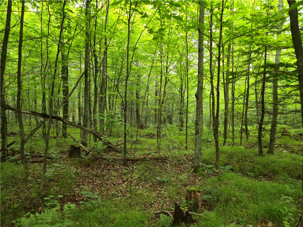 Lot 31 & 32 Woodcrest Drive Cable WI 54821 1593827 image1