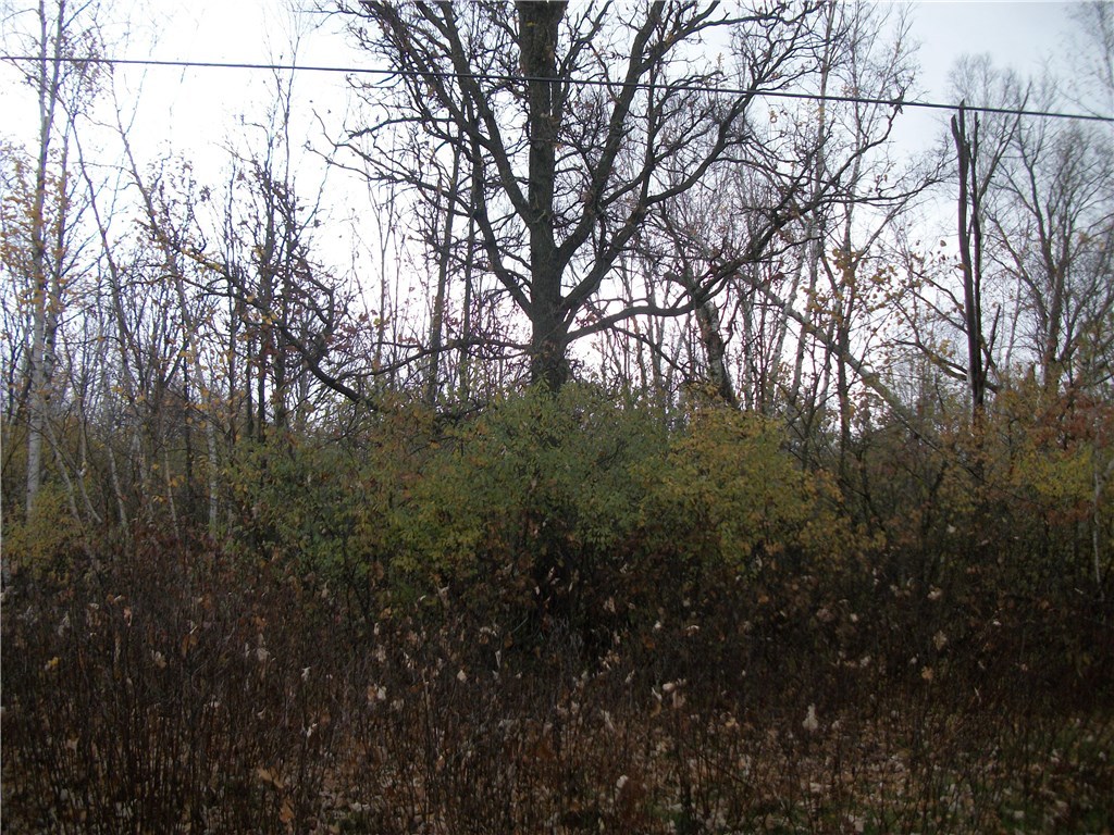 Lot #31 Loch Lomond Birchwood WI 54817 - Red Cedar 1537287 image1