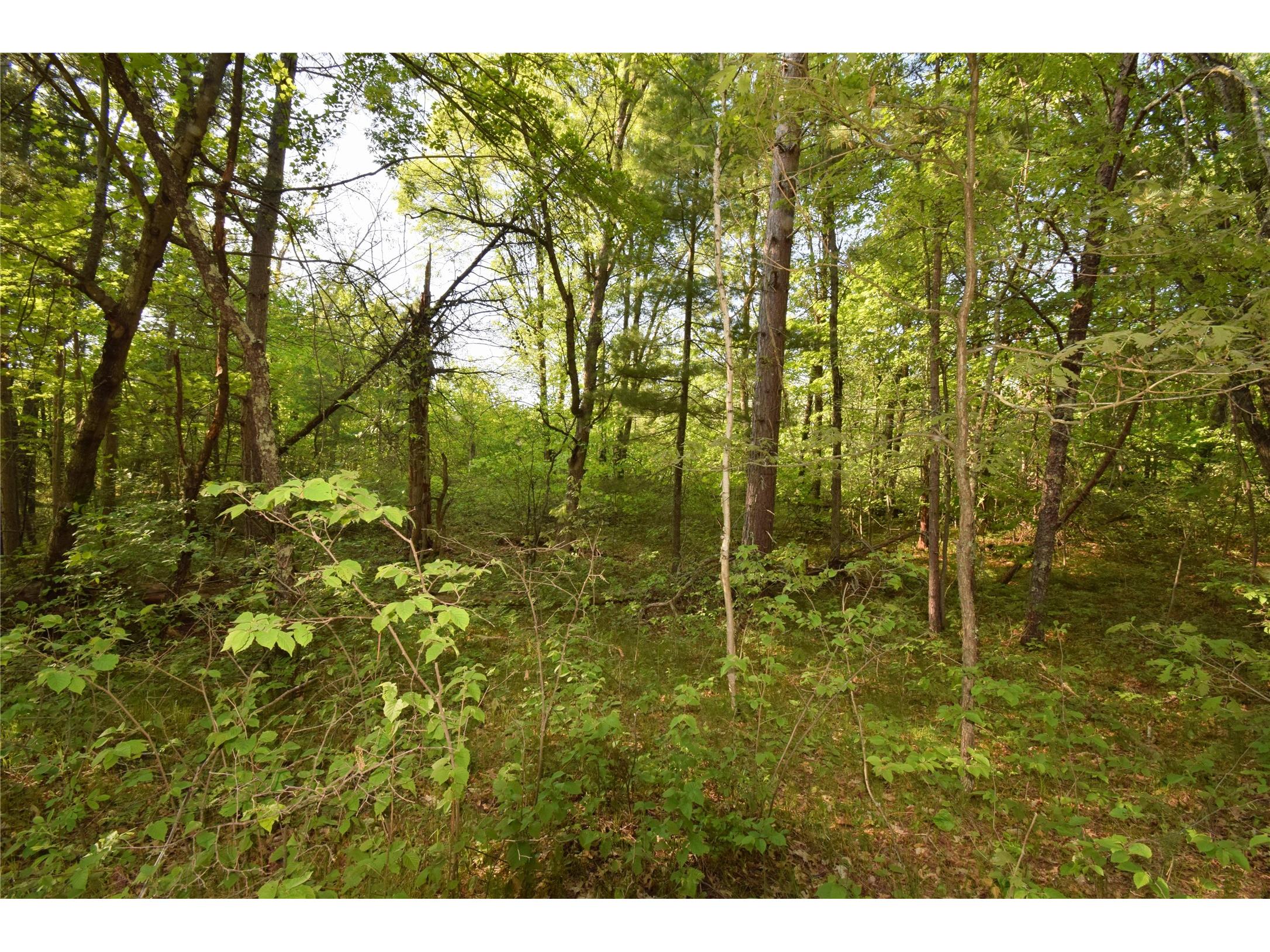 Lot 31 Setting Sun Trail Way Danbury WI 54830 1601782 image13