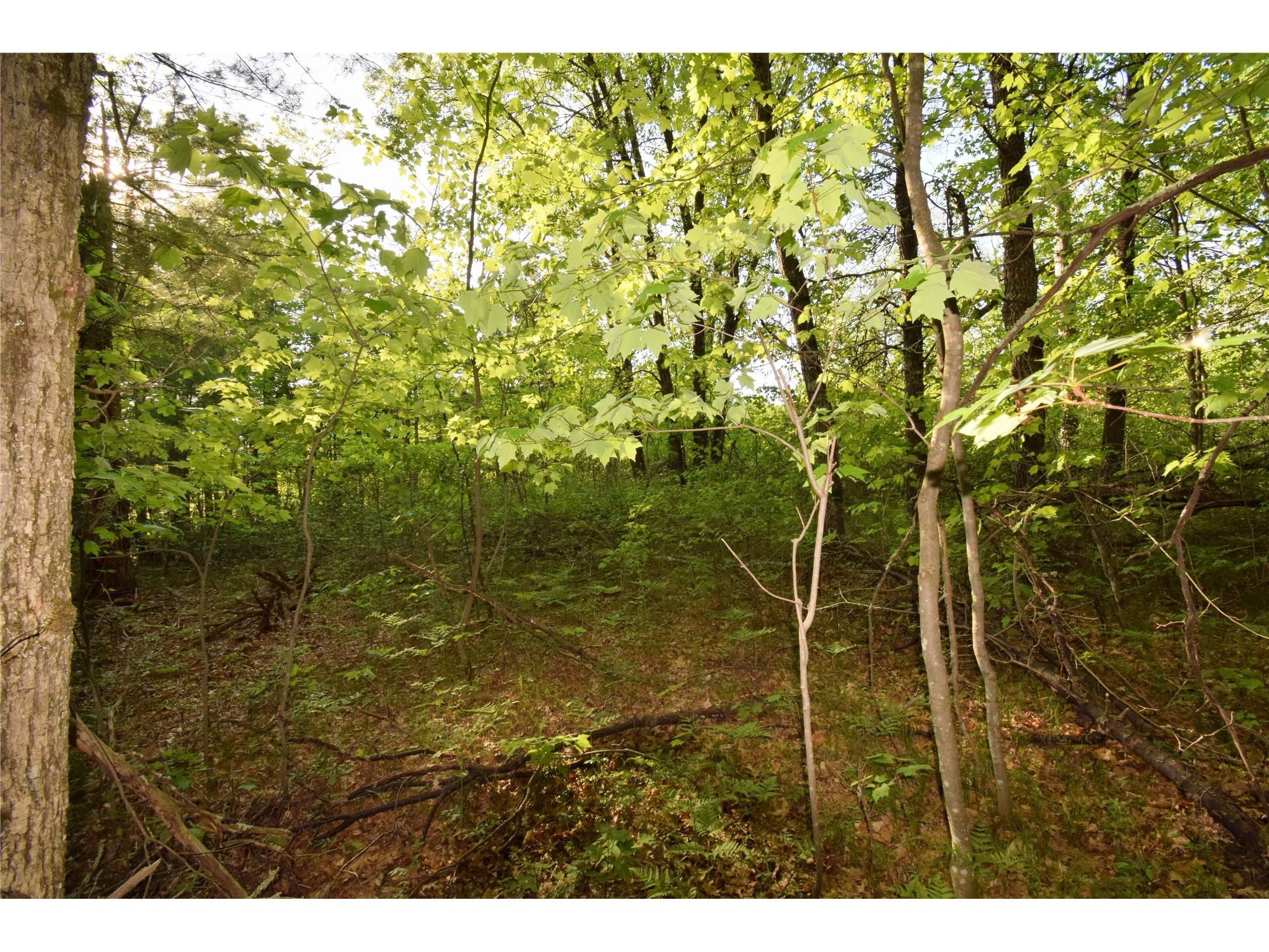 Lot 31 Setting Sun Trail Way Danbury WI 54830 1601782 image14
