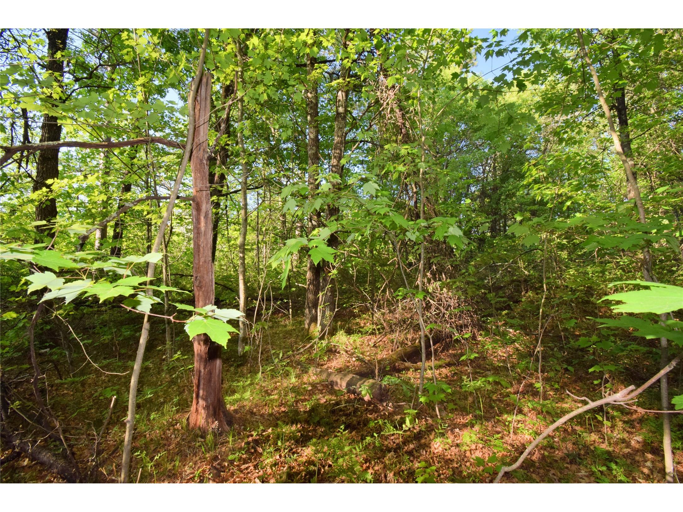 Lot 31 Setting Sun Trail Way Danbury WI 54830 1601782 image15