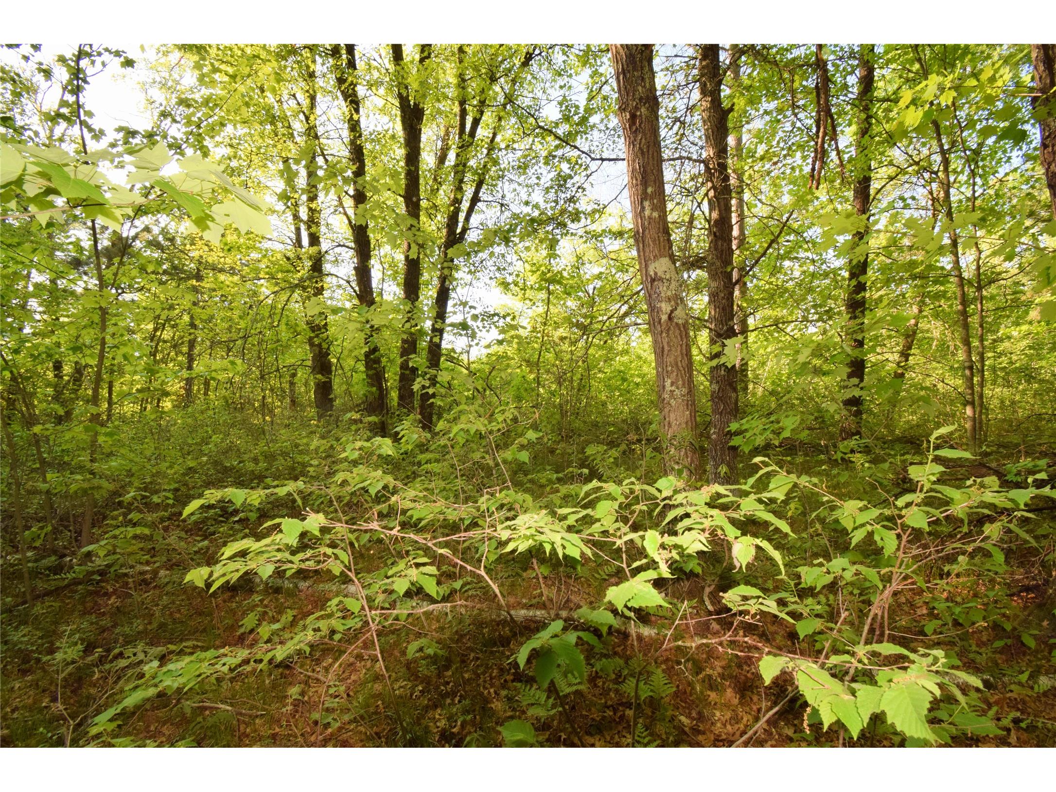 Lot 31 Setting Sun Trail Way Danbury WI 54830 1601782 image16